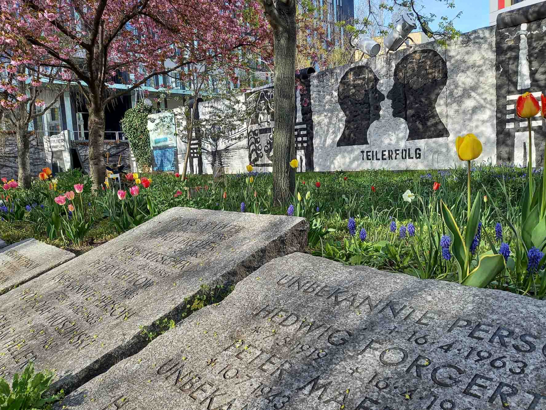 Foto aus dem Parlament der Bäume